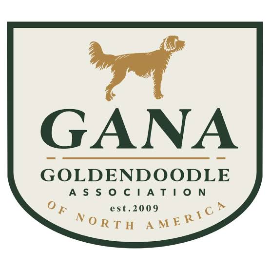 Goldendoodle Association of North America (GANA) member