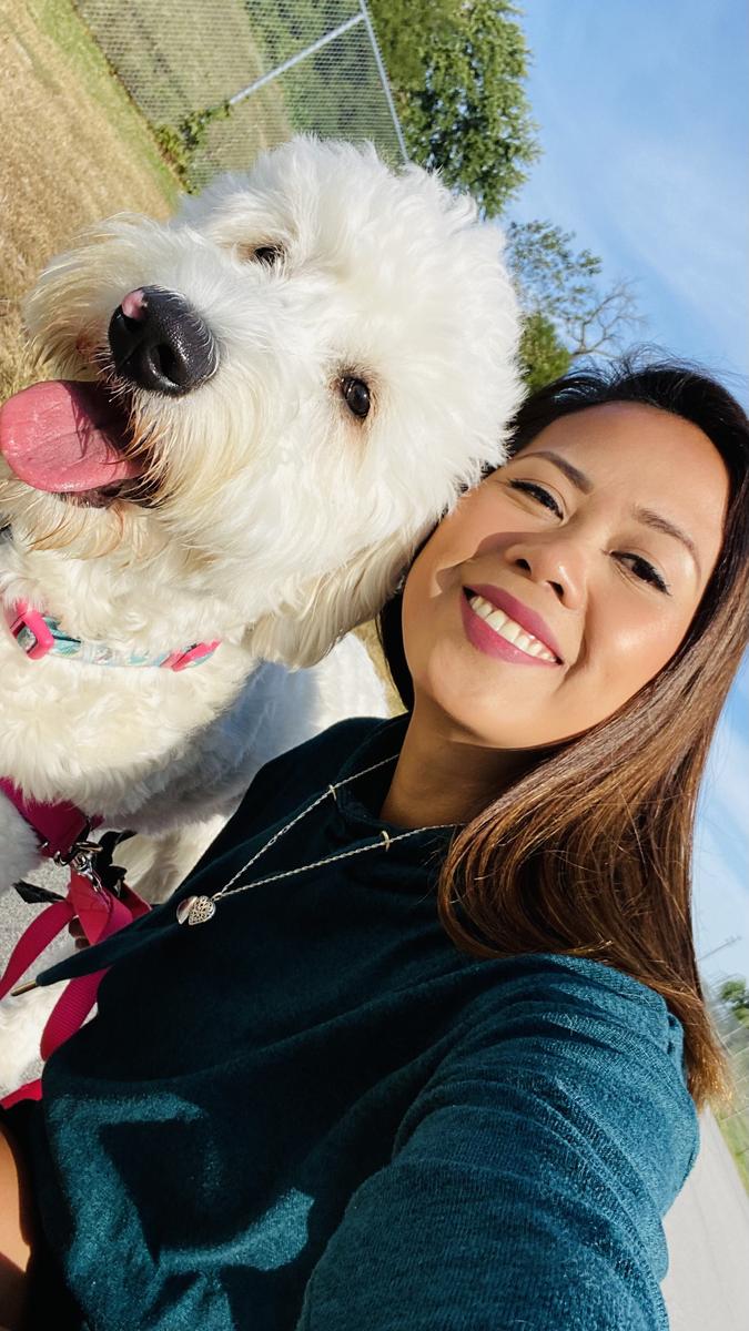 Life at A.N.A. Doodles — Goldendoodles & Bernedoodles in Cold Spring, MN