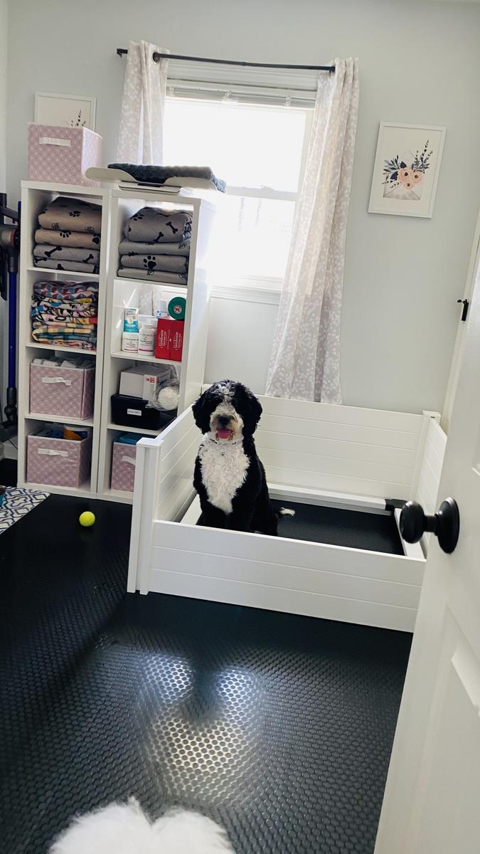 Life at A.N.A. Doodles — Goldendoodles & Bernedoodles in Cold Spring, MN
