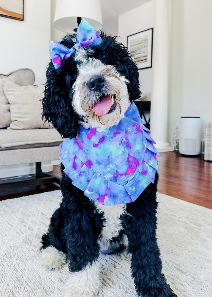 Life at A.N.A. Doodles — Goldendoodles & Bernedoodles in Cold Spring, MN