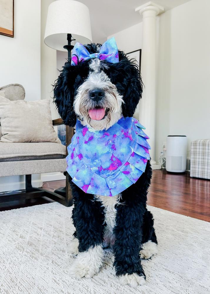 Life at A.N.A. Doodles — Goldendoodles & Bernedoodles in Cold Spring, MN