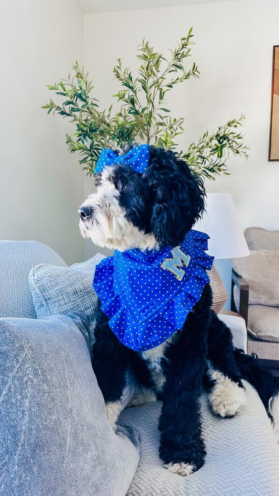Life at A.N.A. Doodles — Goldendoodles & Bernedoodles in Cold Spring, MN