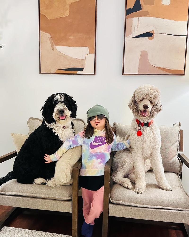 Life at A.N.A. Doodles — Goldendoodles & Bernedoodles in Cold Spring, MN