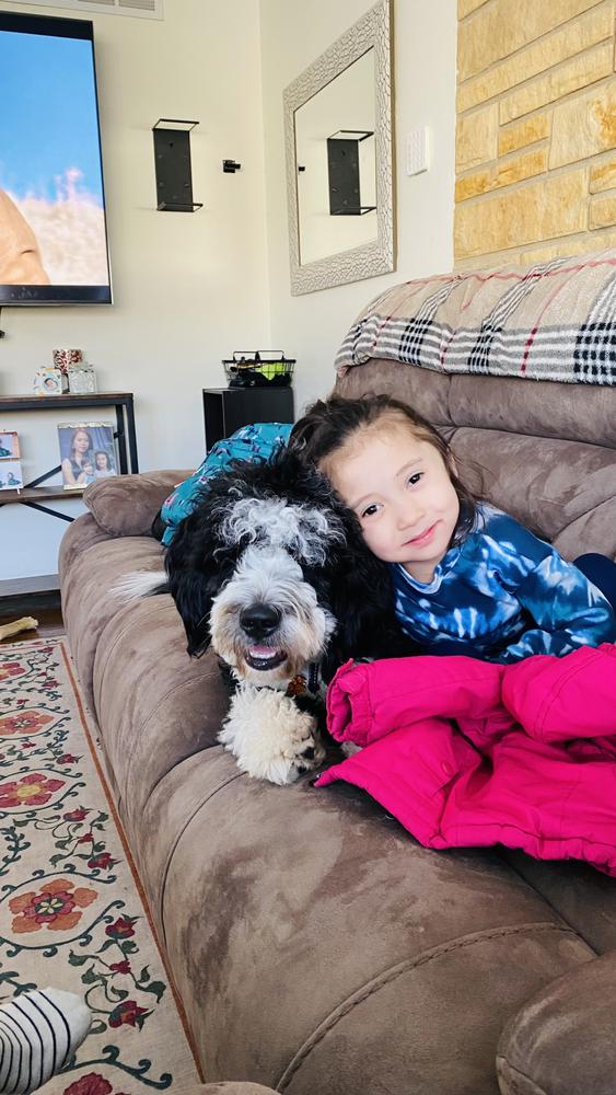 Life at A.N.A. Doodles — Goldendoodles & Bernedoodles in Cold Spring, MN