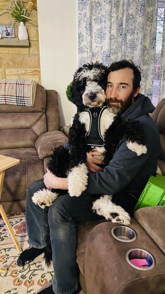 Life at A.N.A. Doodles — Goldendoodles & Bernedoodles in Cold Spring, MN