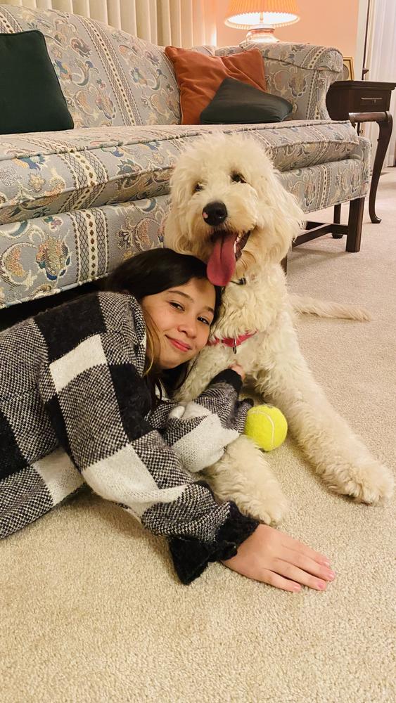Life at A.N.A. Doodles — Goldendoodles & Bernedoodles in Cold Spring, MN