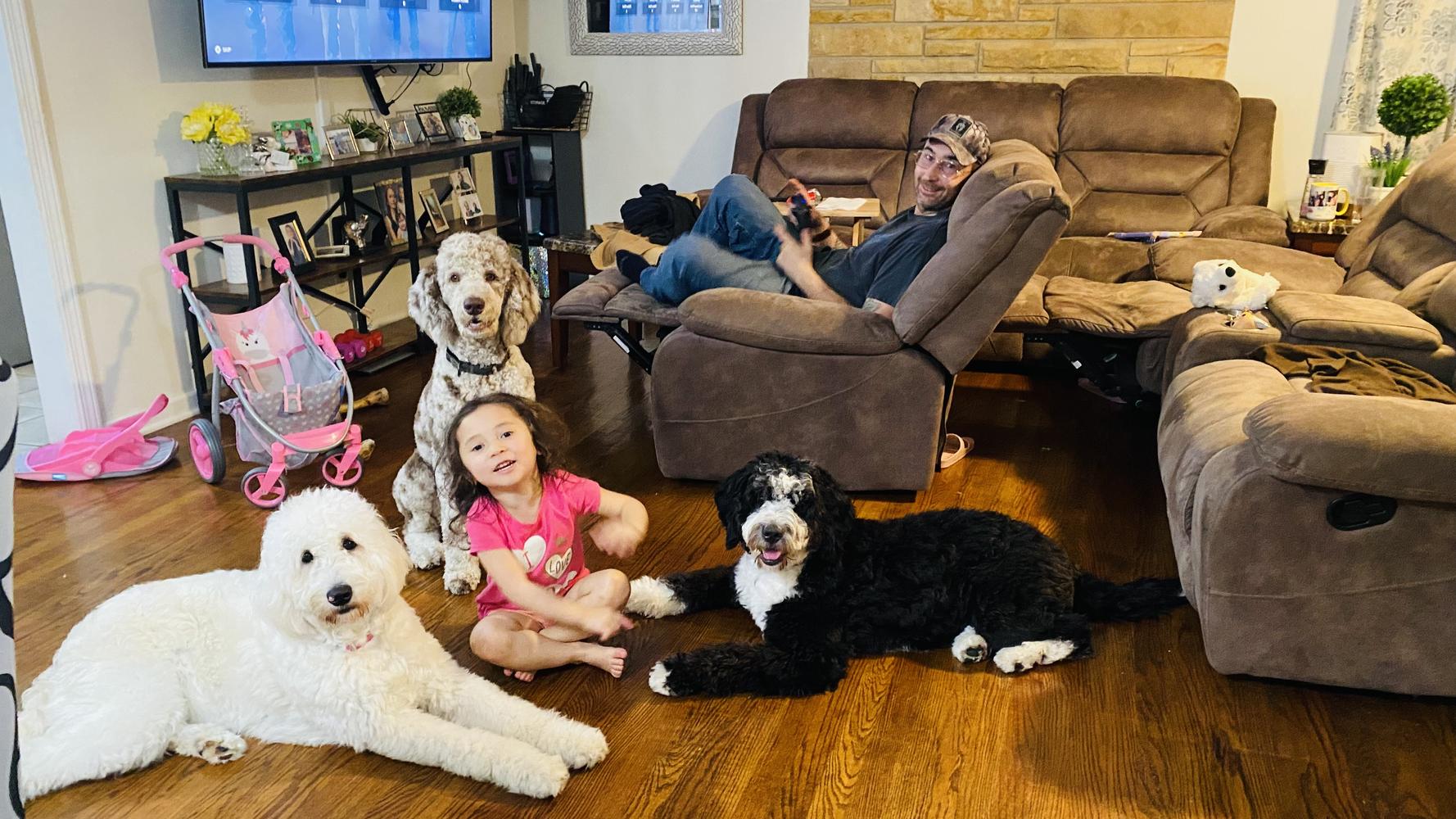 Life at A.N.A. Doodles — Goldendoodles & Bernedoodles in Cold Spring, MN