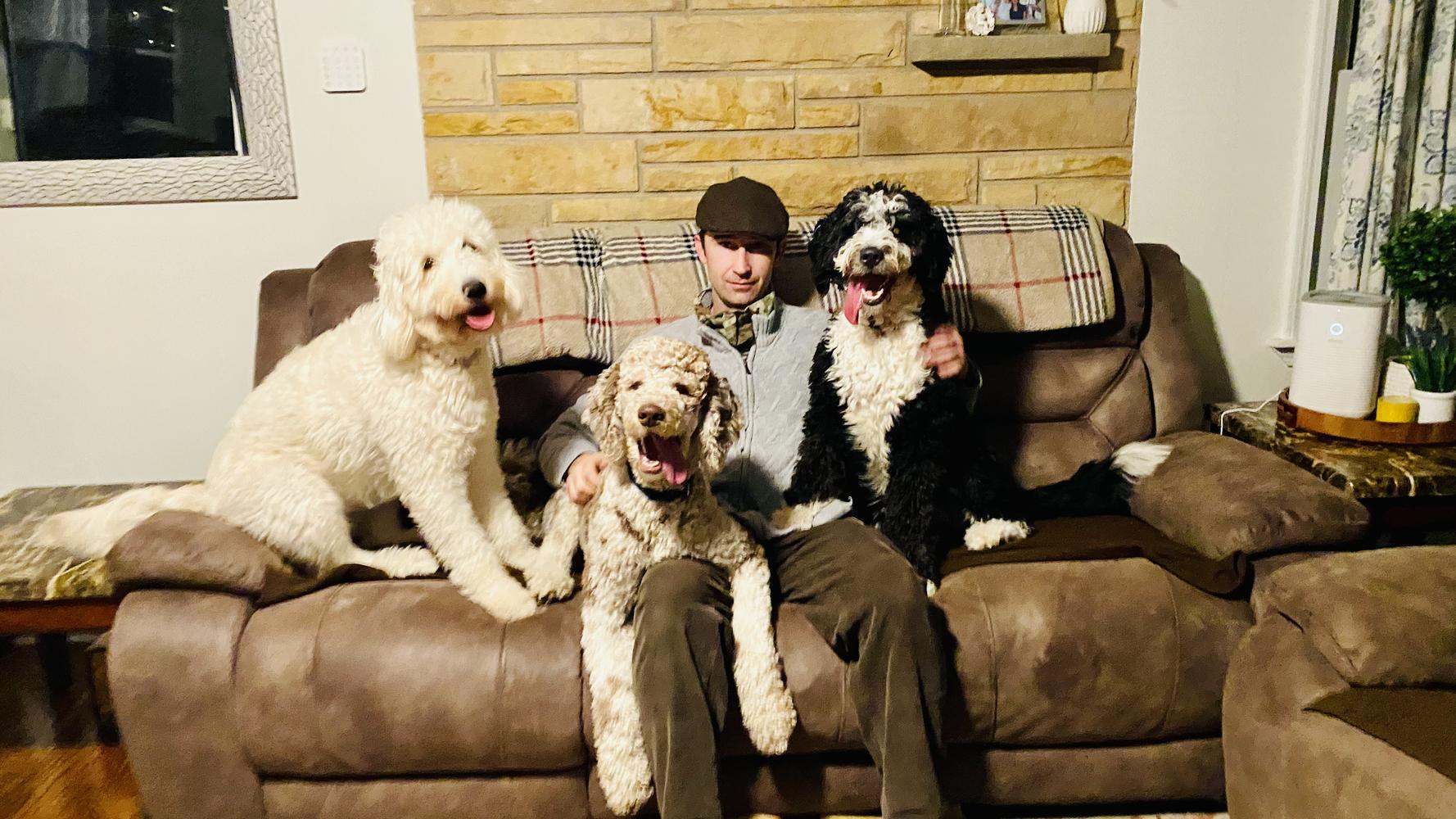 Life at A.N.A. Doodles — Goldendoodles & Bernedoodles in Cold Spring, MN
