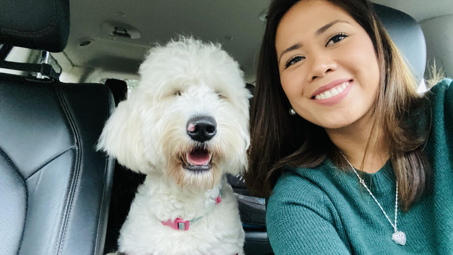 Life at A.N.A. Doodles — Goldendoodles & Bernedoodles in Cold Spring, MN