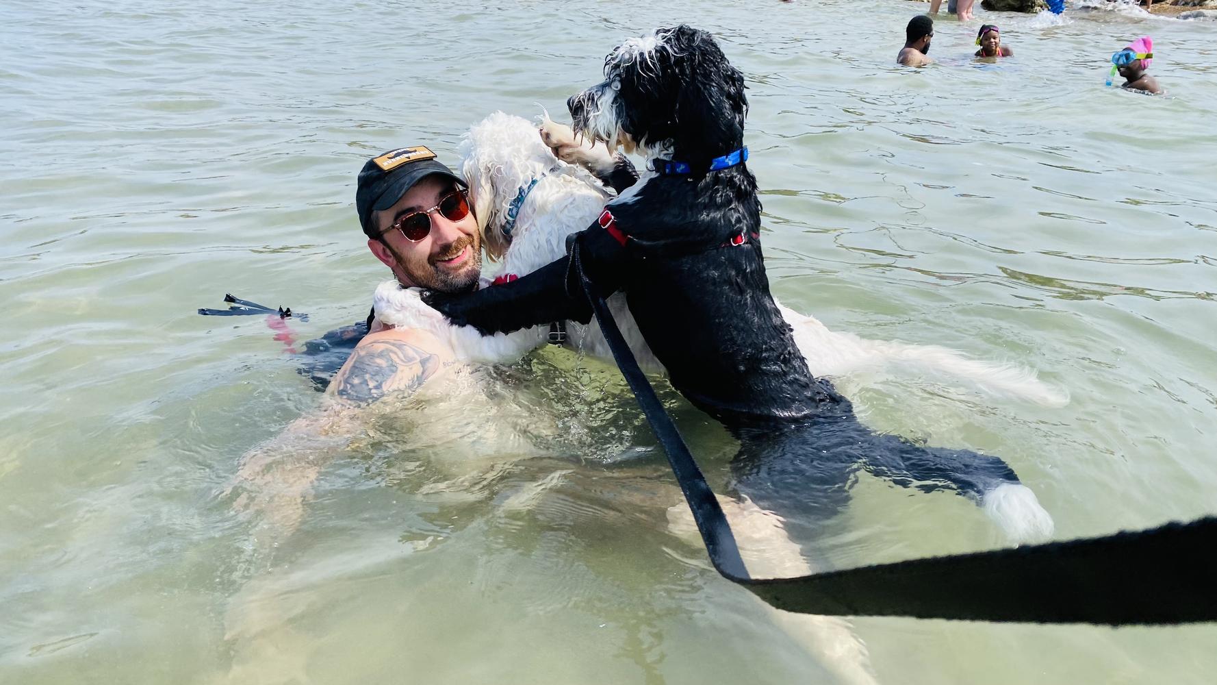 Life at A.N.A. Doodles — Goldendoodles & Bernedoodles in Cold Spring, MN