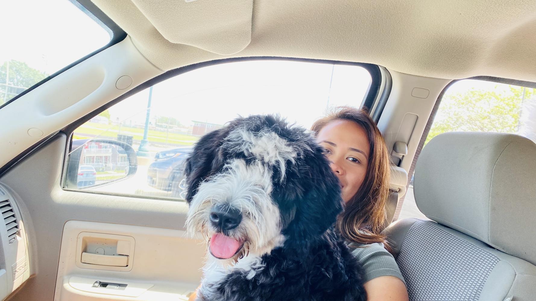 Life at A.N.A. Doodles — Goldendoodles & Bernedoodles in Cold Spring, MN