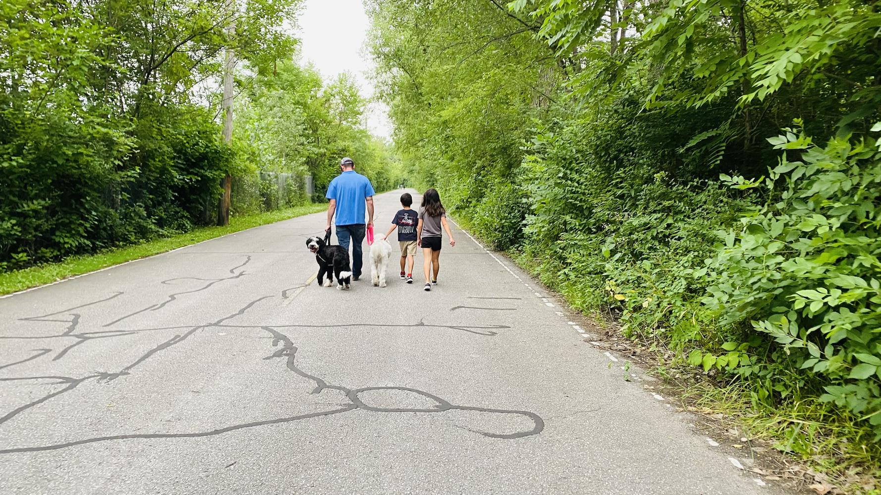 Life at A.N.A. Doodles — Goldendoodles & Bernedoodles in Cold Spring, MN