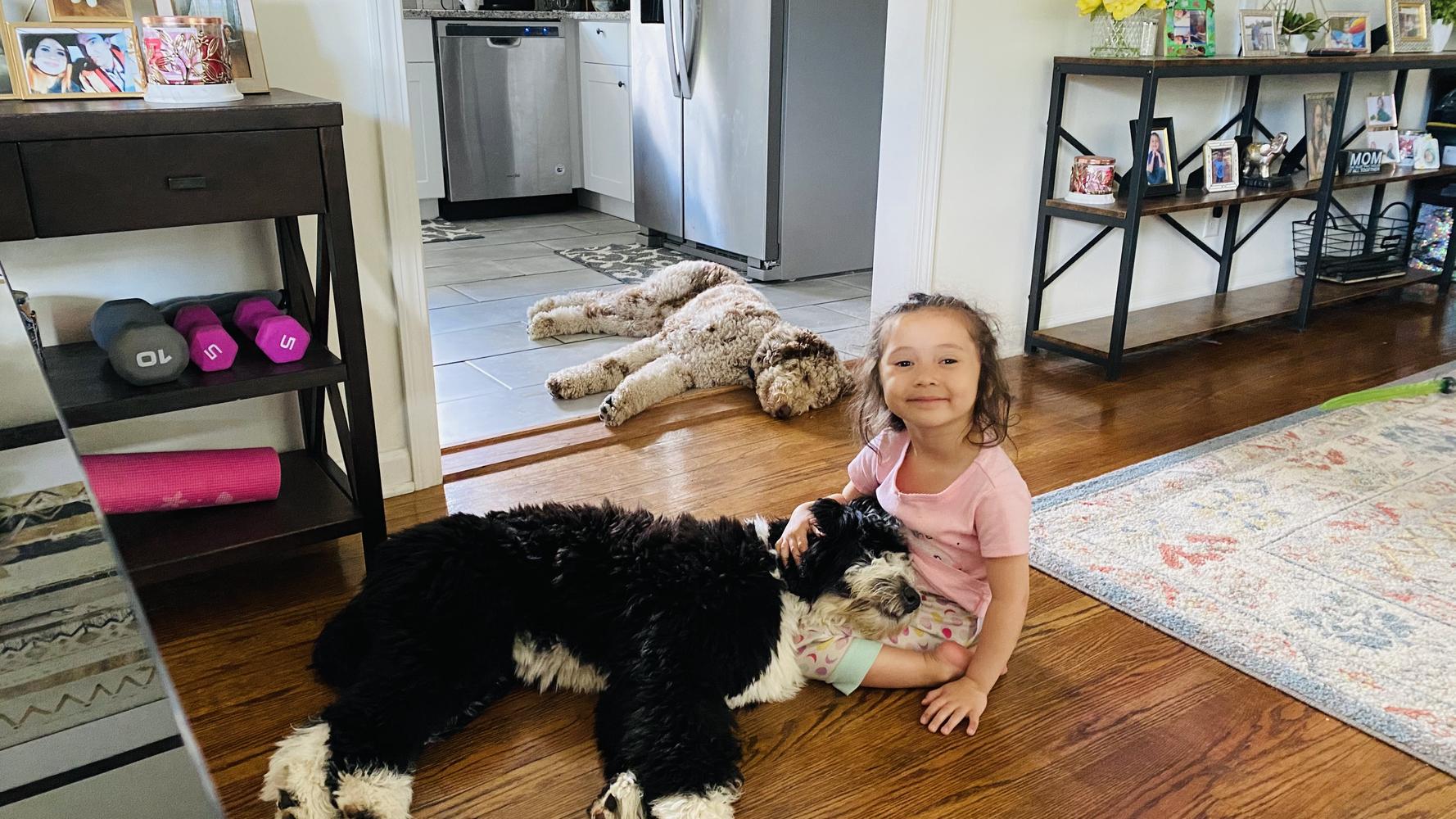 Life at A.N.A. Doodles — Goldendoodles & Bernedoodles in Cold Spring, MN
