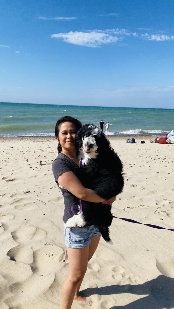 Life at A.N.A. Doodles — Goldendoodles & Bernedoodles in Cold Spring, MN