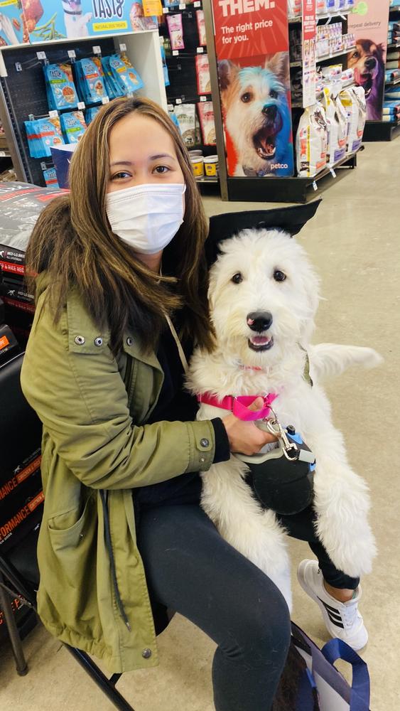 Life at A.N.A. Doodles — Goldendoodles & Bernedoodles in Cold Spring, MN