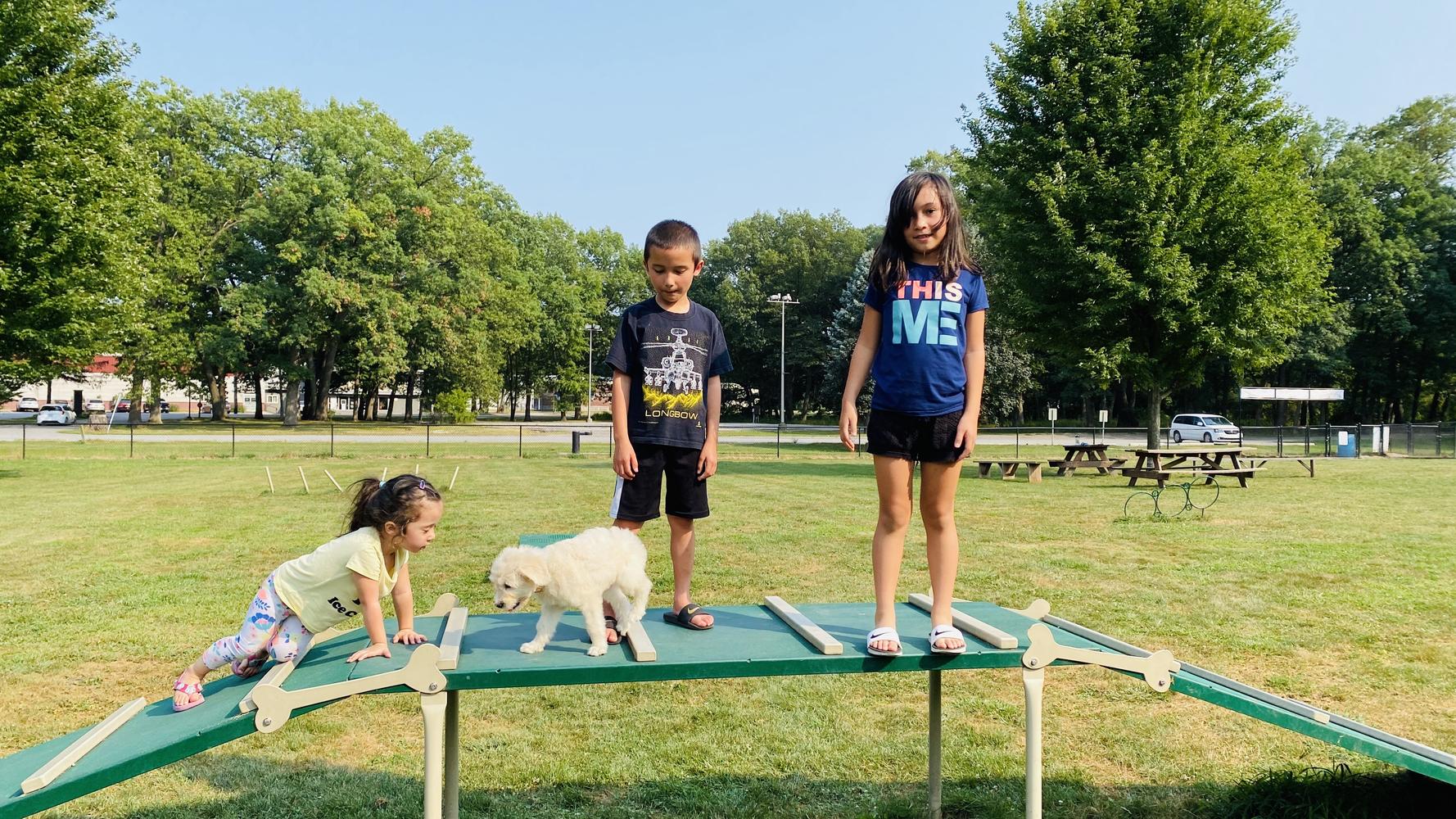 Life at A.N.A. Doodles — Goldendoodles & Bernedoodles in Cold Spring, MN