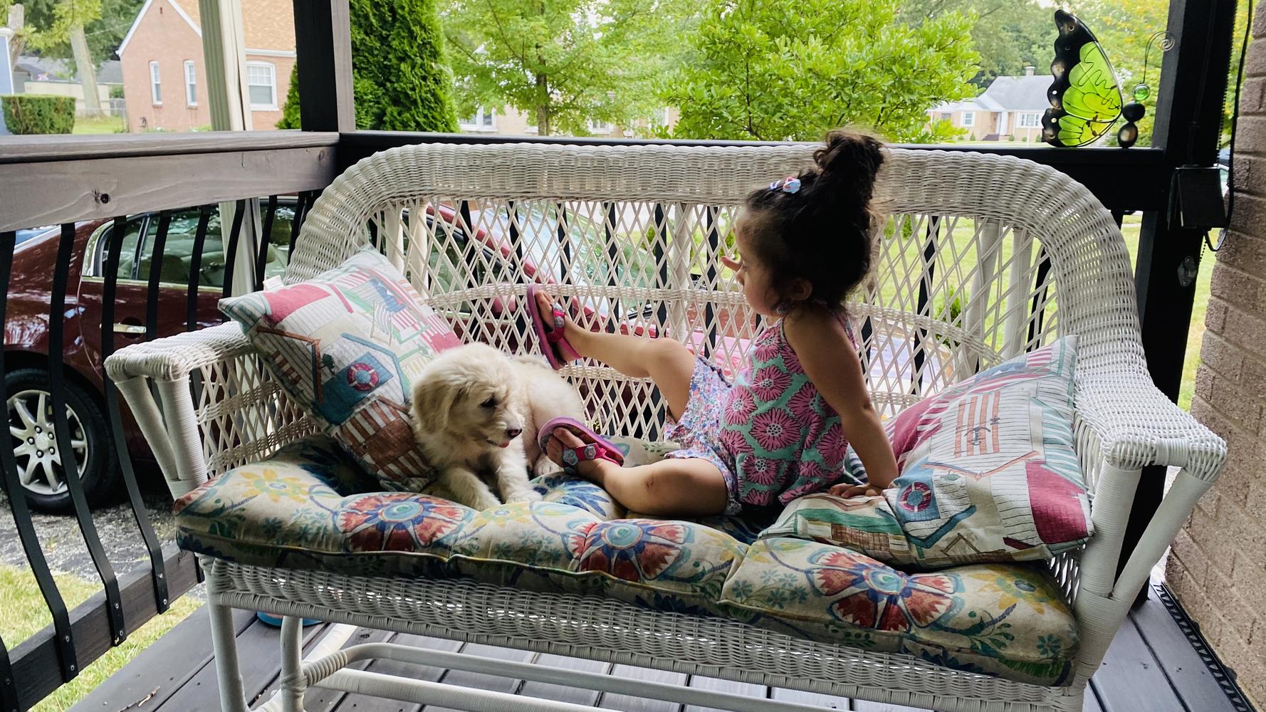 Life at A.N.A. Doodles — Goldendoodles & Bernedoodles in Cold Spring, MN