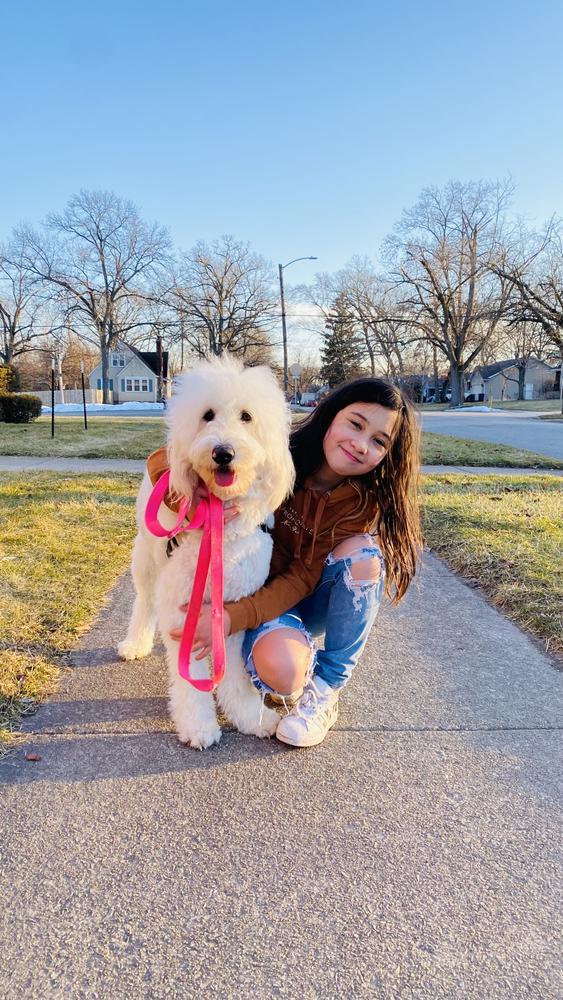Life at A.N.A. Doodles — Goldendoodles & Bernedoodles in Cold Spring, MN