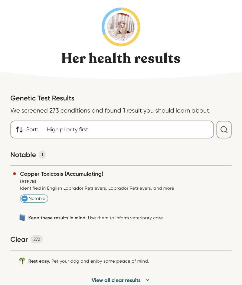 Butterscotch's Embark genetic health results
