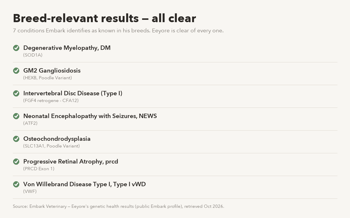 Eeyore's breed-relevant clear Embark results