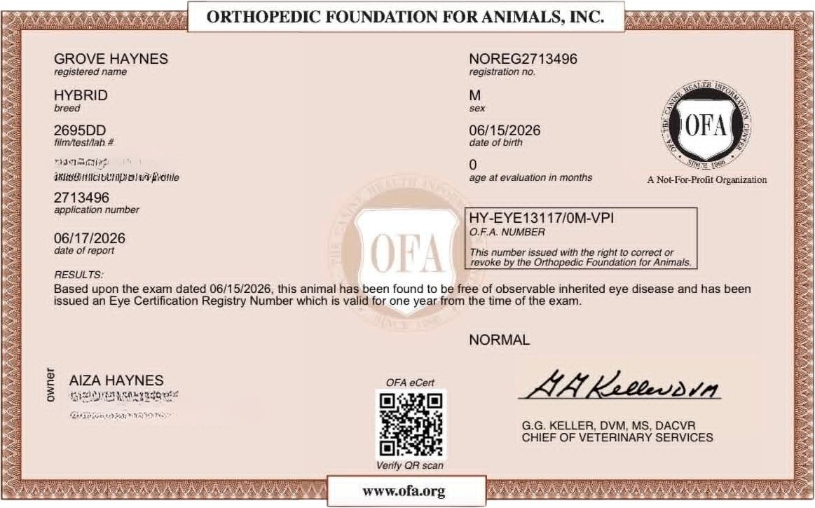 OFA eye exam (CAER)