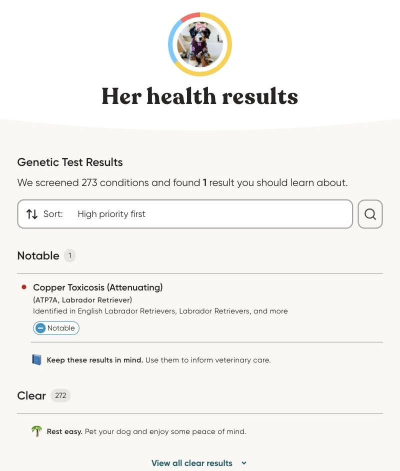 Martha's Embark genetic health results