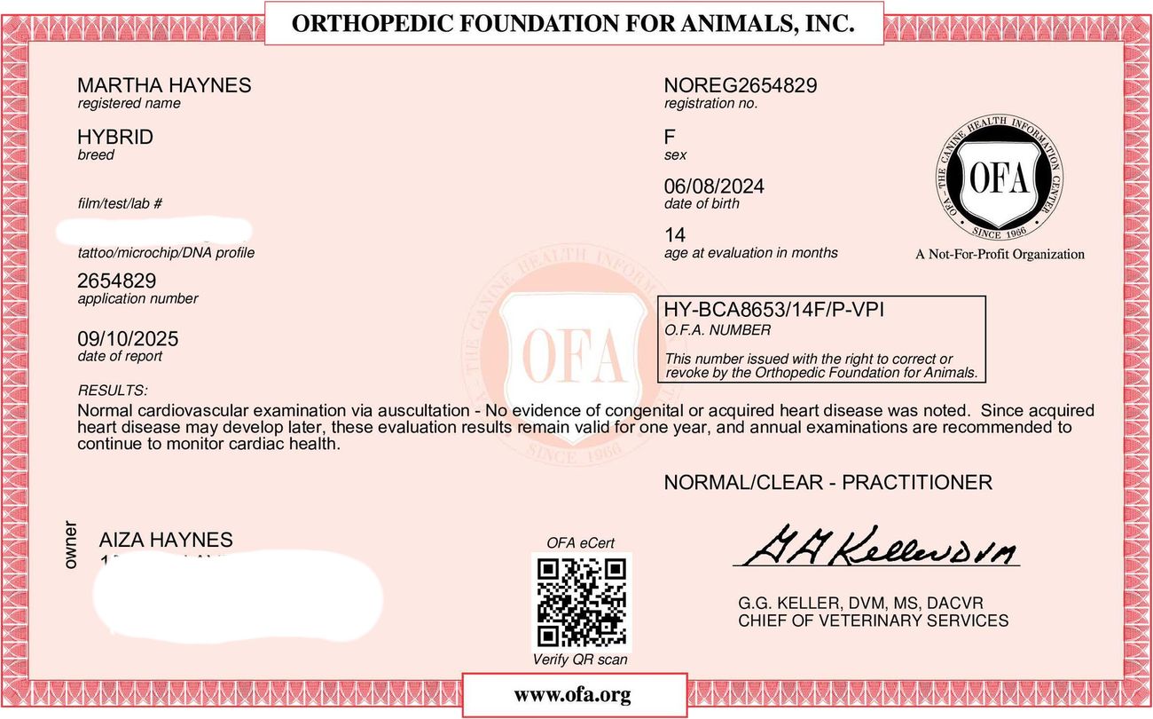 OFA cardiac exam