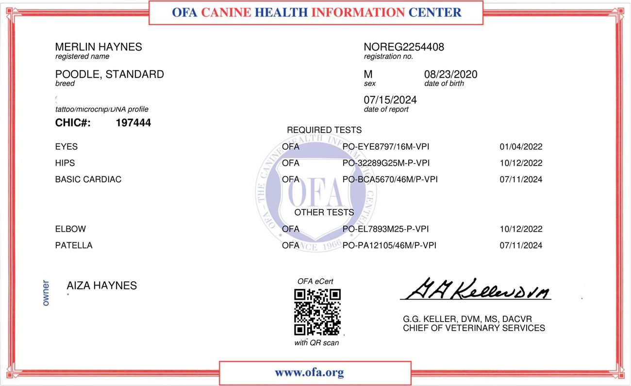 OFA CHIC certificate (hips, elbows, eyes, heart, patellas)