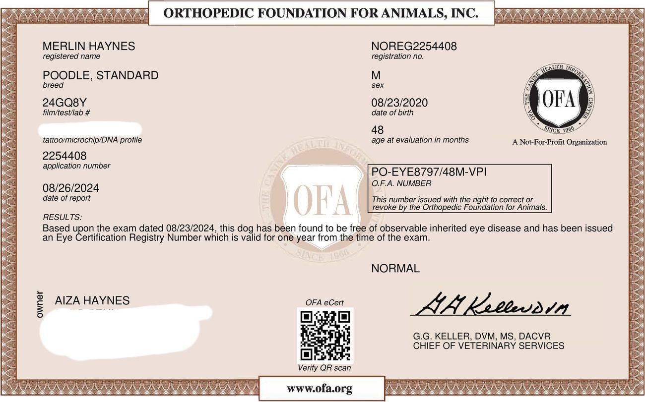 OFA eye exam (CAER)