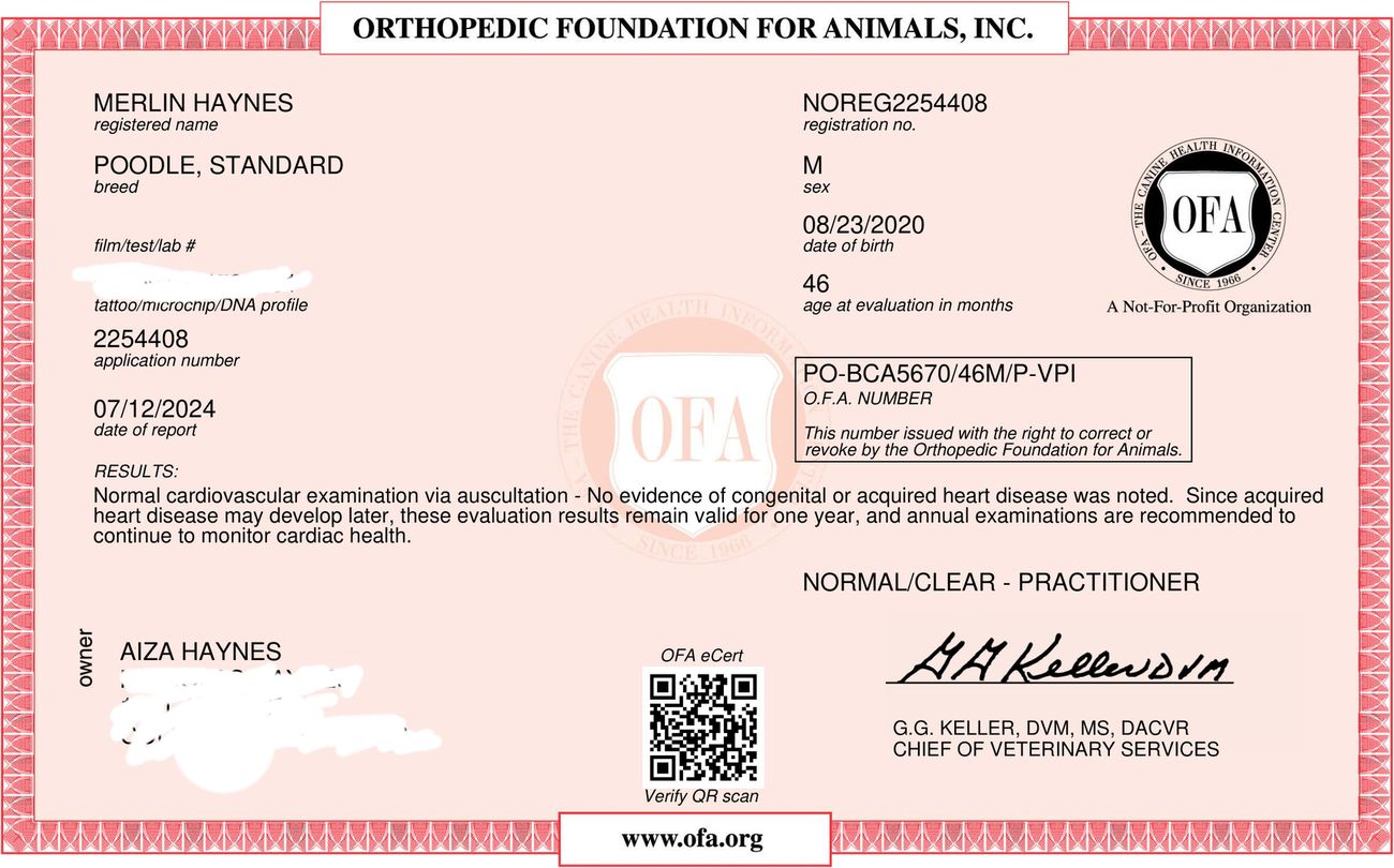 OFA cardiac exam