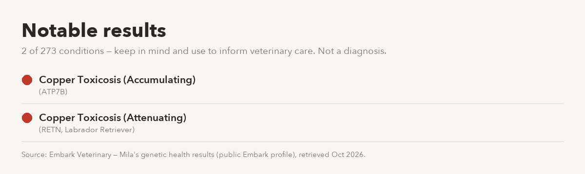 Mila's notable Embark results