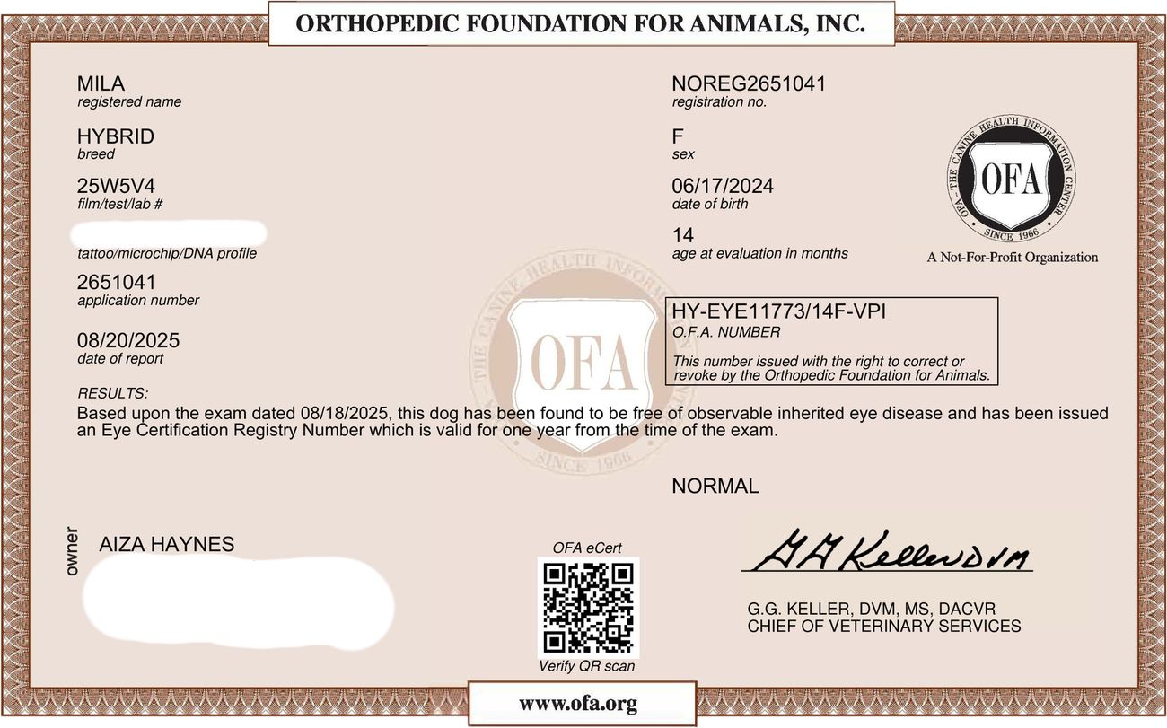 OFA eye exam (CAER)