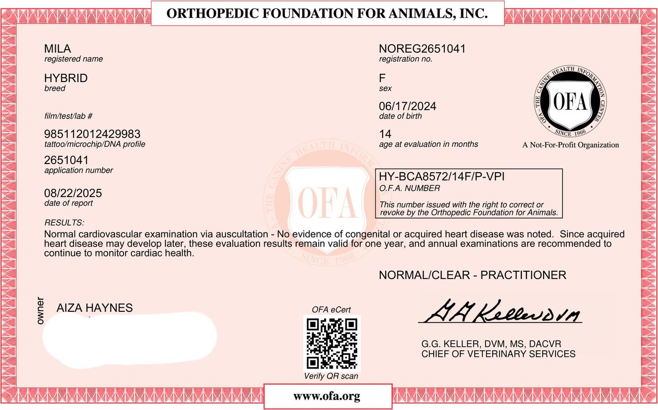 OFA cardiac exam