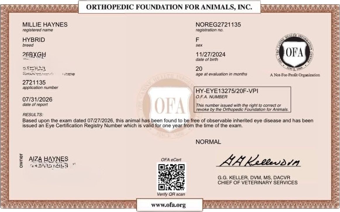 OFA eye exam (CAER)