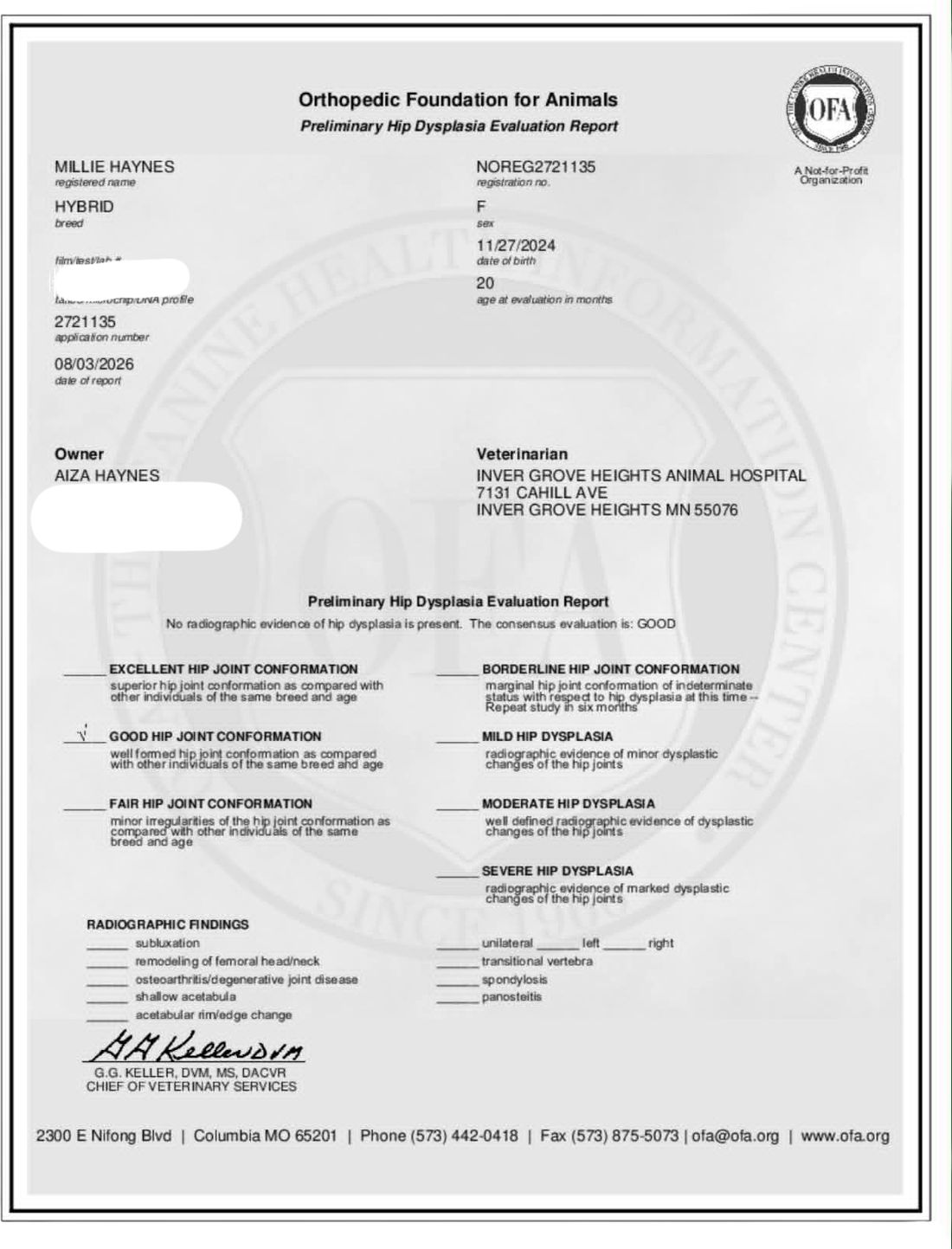 OFA hip evaluation