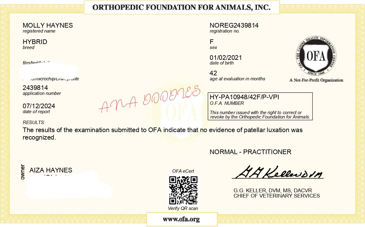 OFA patella evaluation