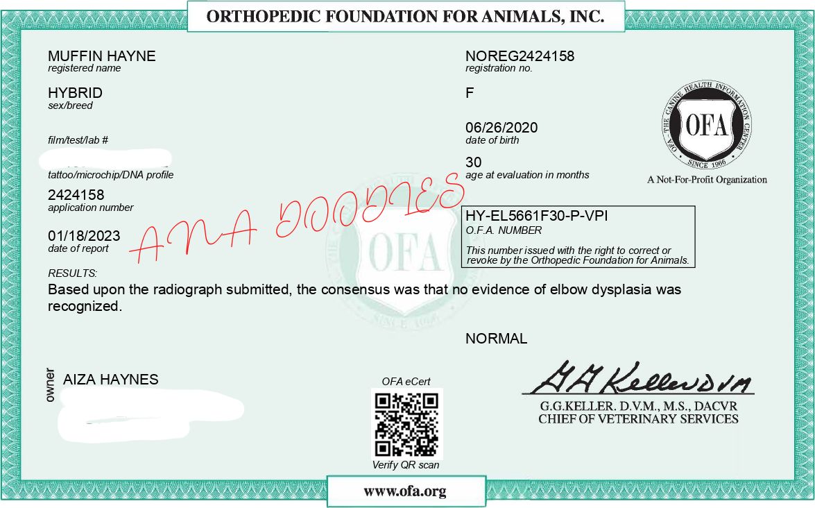 OFA elbow evaluation