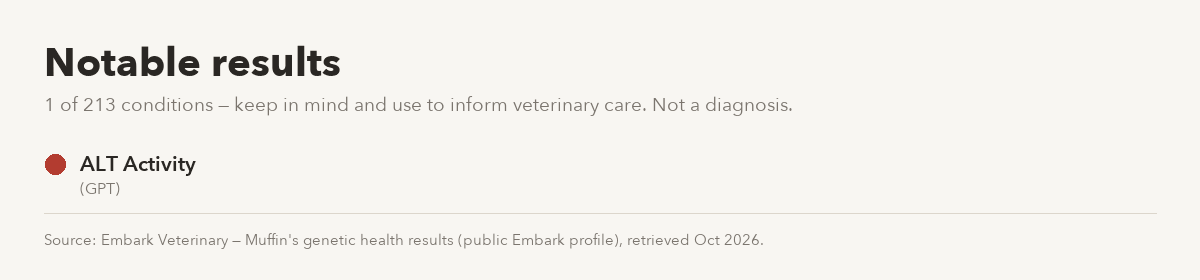 Muffin's notable Embark results