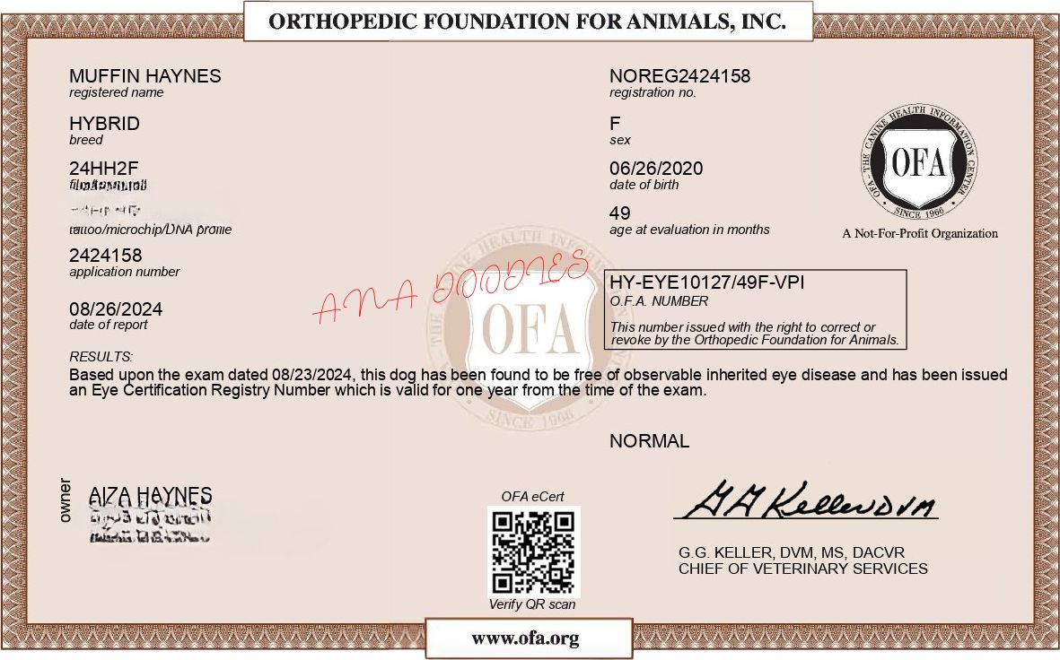 OFA eye exam (CAER)