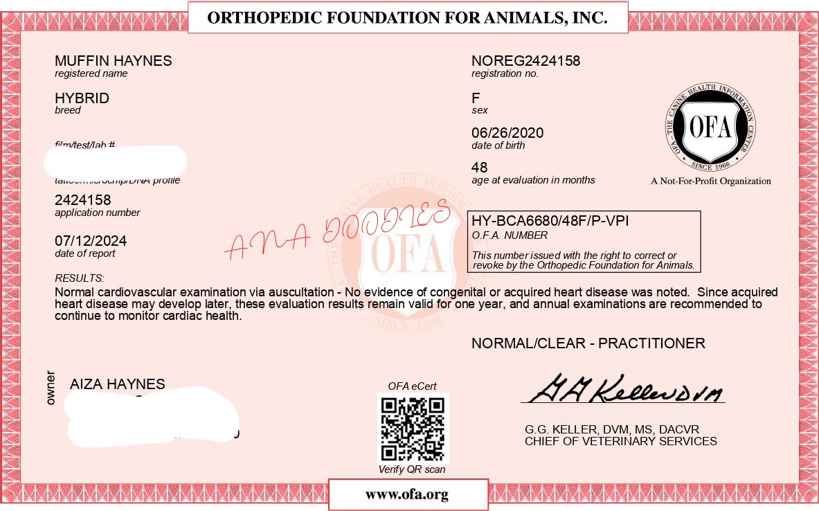 OFA cardiac exam