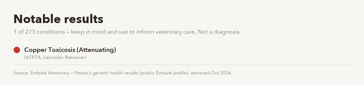 Potato's notable Embark results