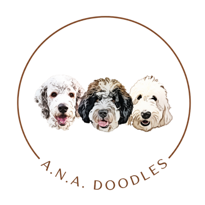 A.N.A. Doodles logo — three doodle faces