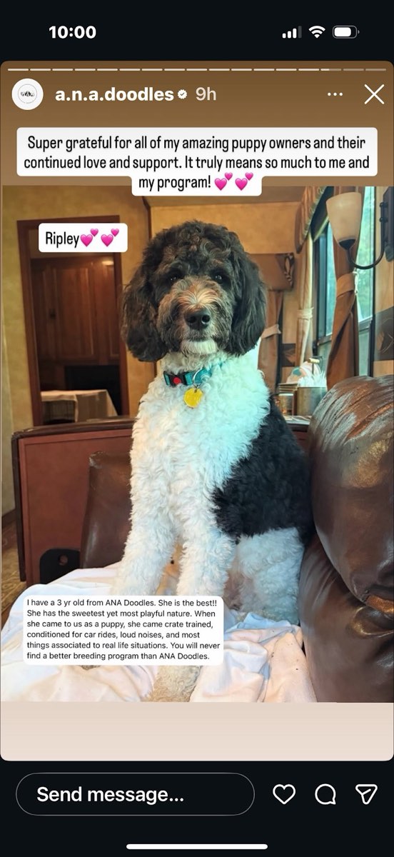 Ripley at home with Carol Gilbert