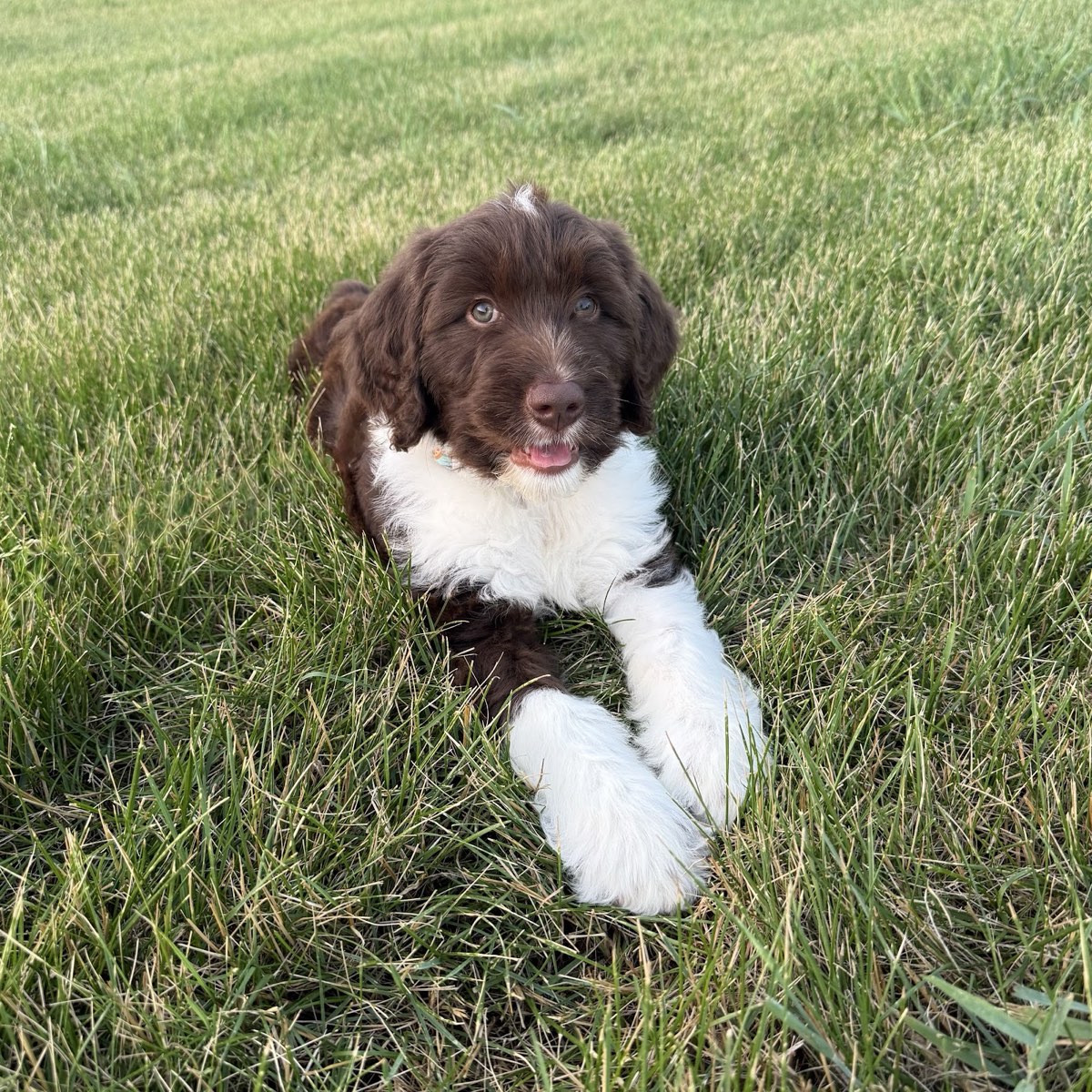 Major at home with Christine White
