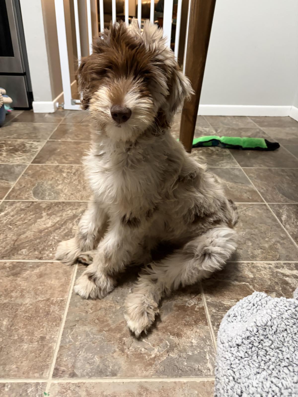 Sophie at home with Ryan S.