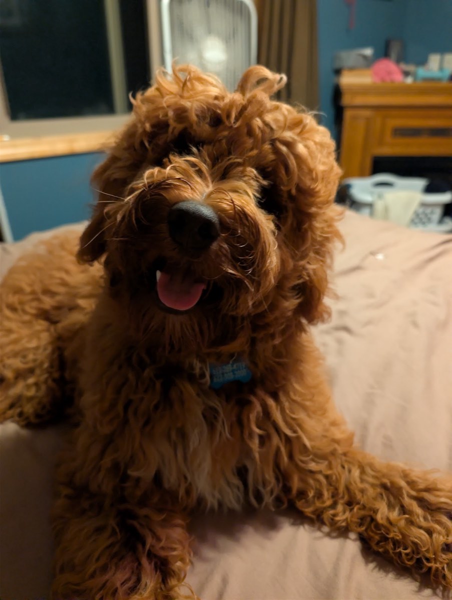 Gus at home with Karen Klein