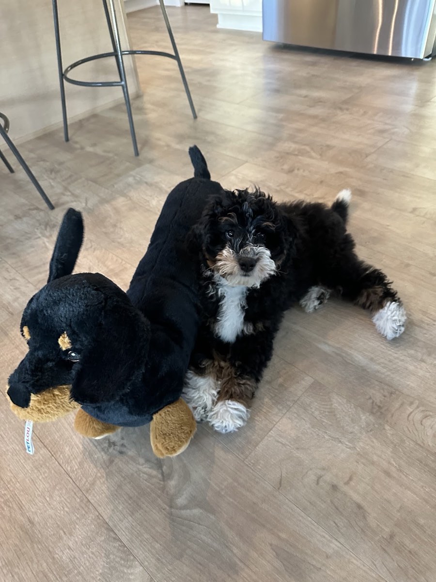  at home with Megan Hanson