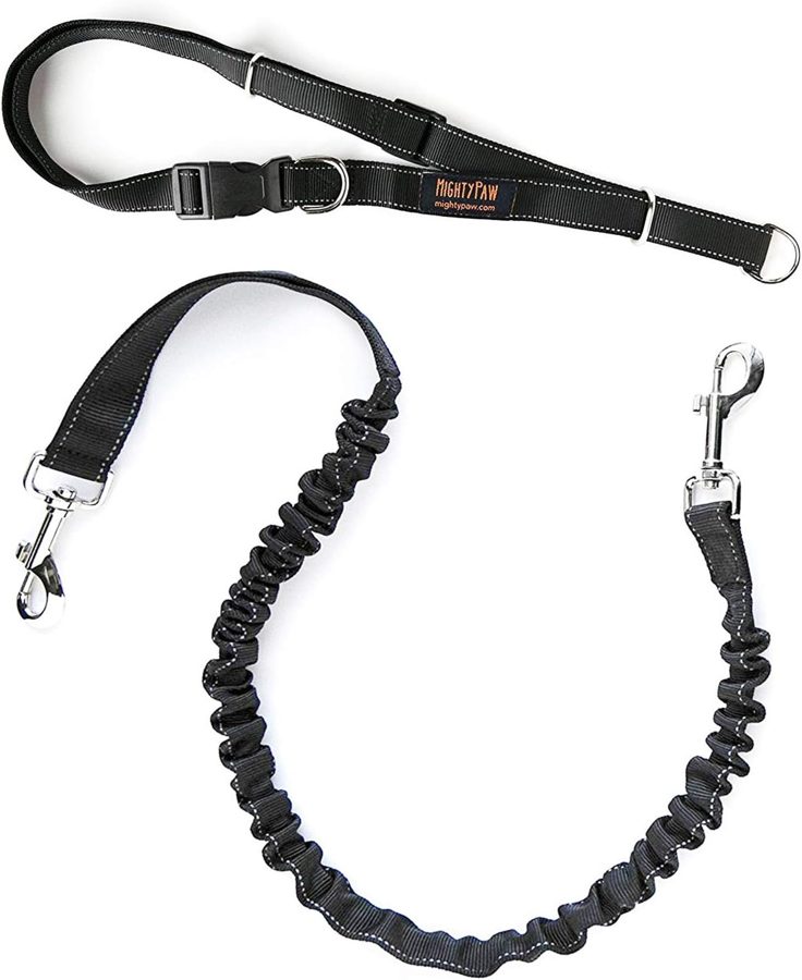 Hands-Free Bungee Leash by Mighty Paw