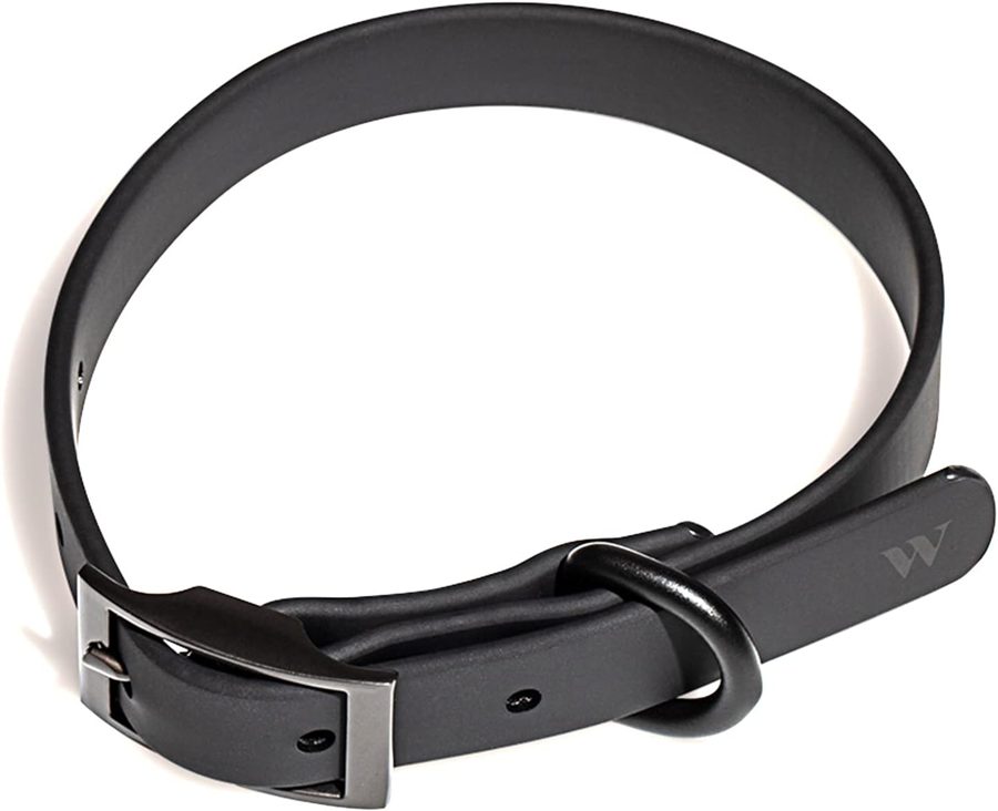 Wild One Dog Collar by Wild One